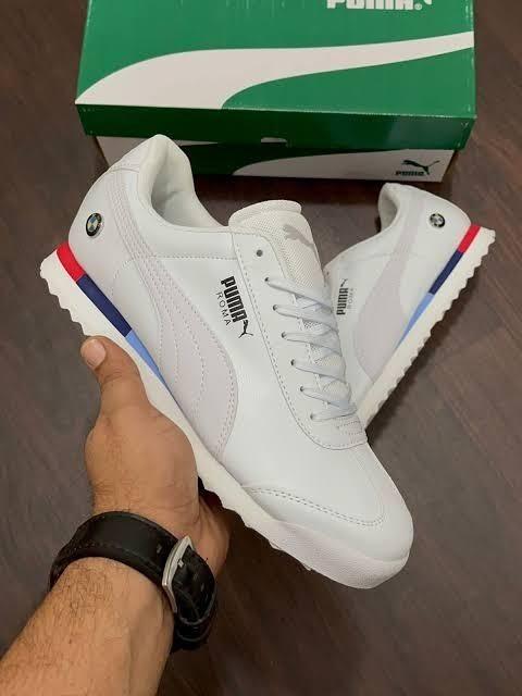 19069